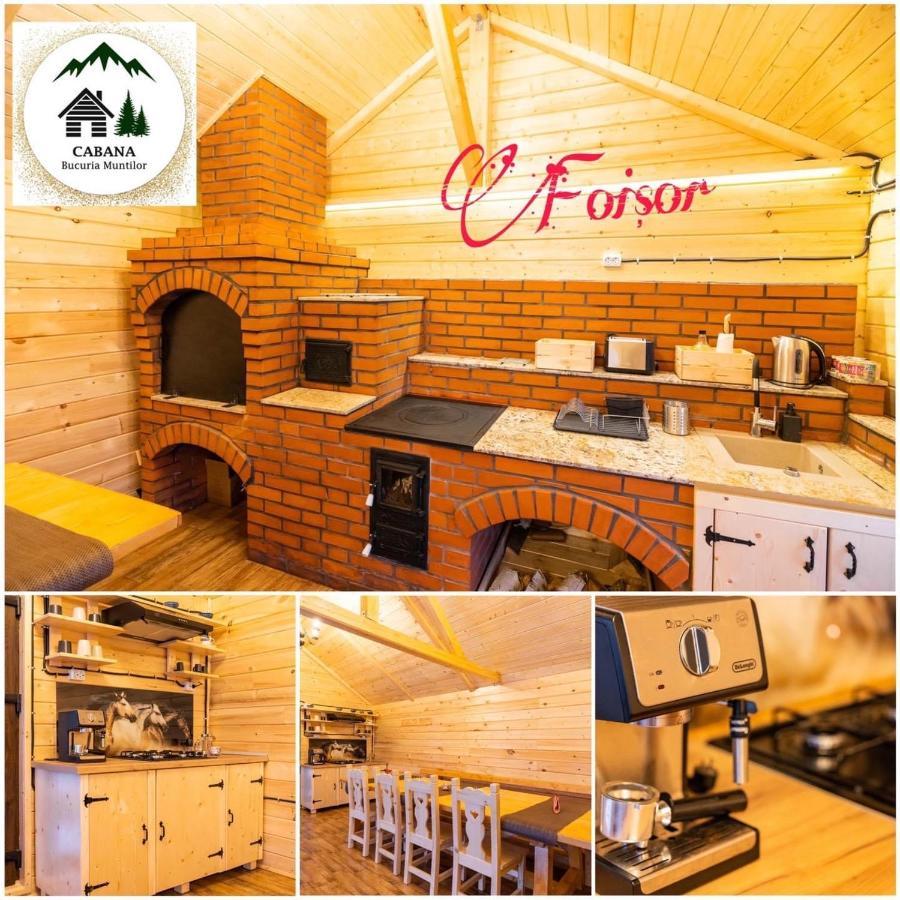Holiday home Bucuria Muntilor